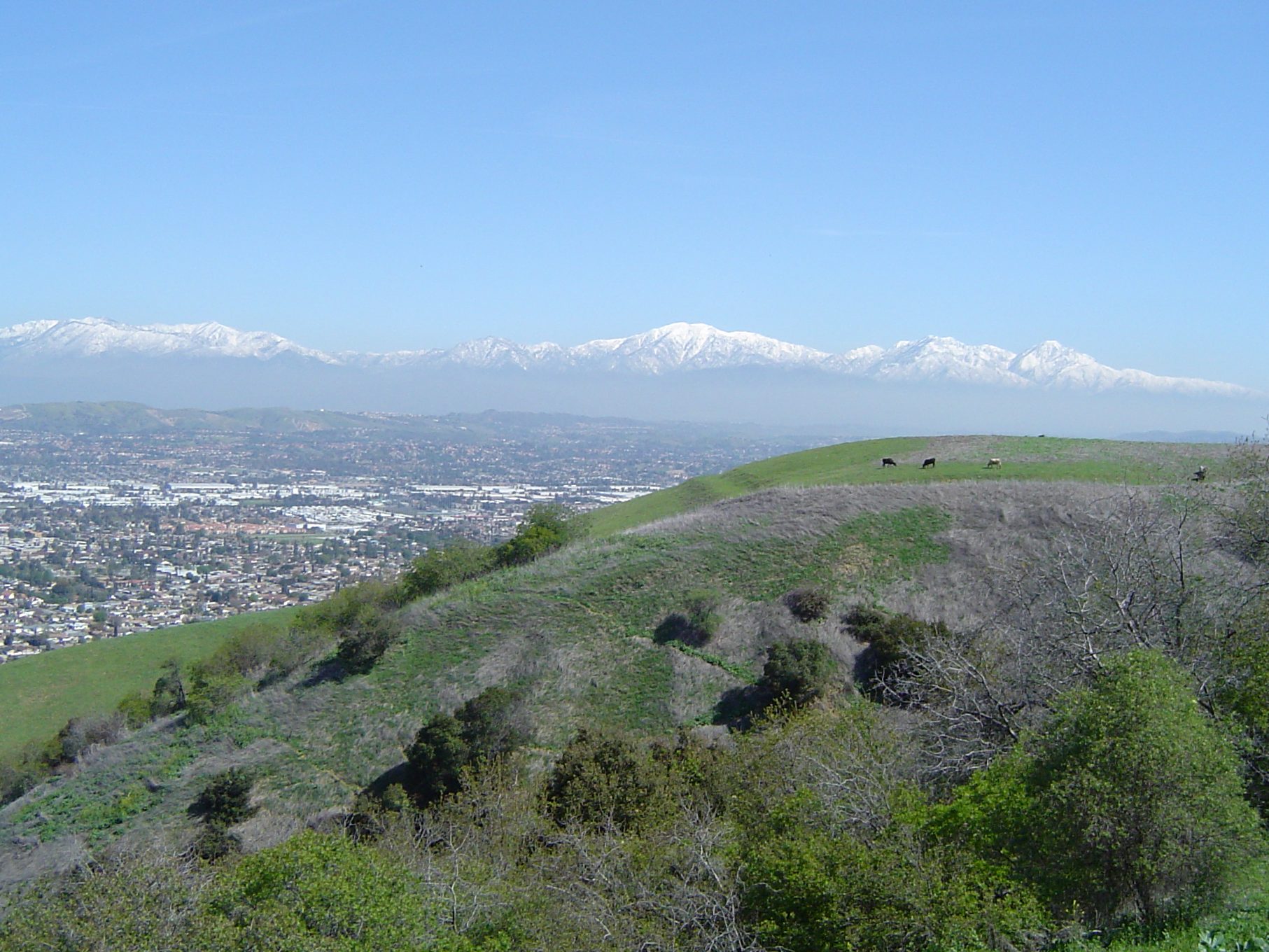 Cosmetic Surgeon Los Angeles County - San Gabriel Valley